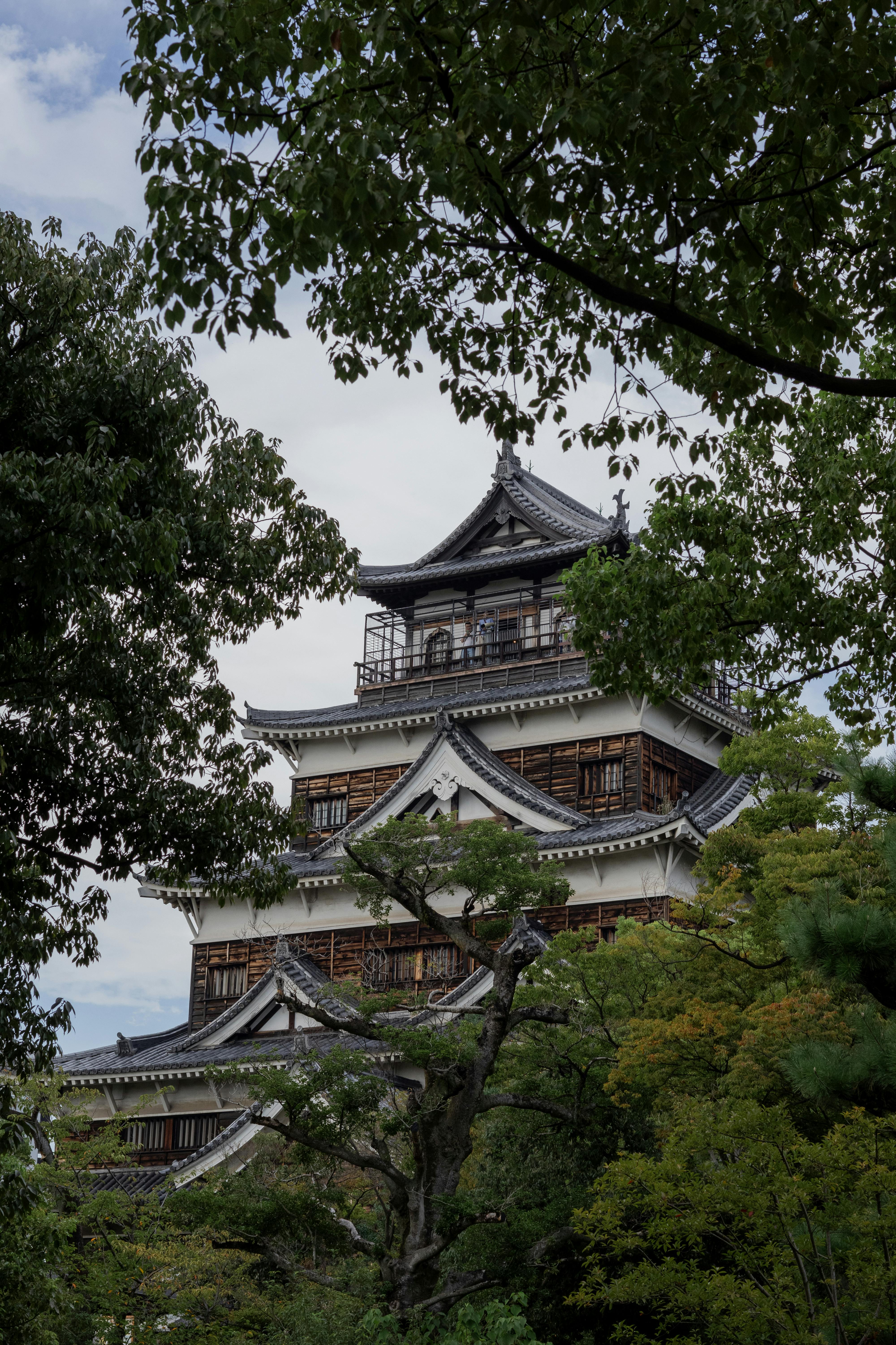 Osaka Travel Guide Tennoji Zoo