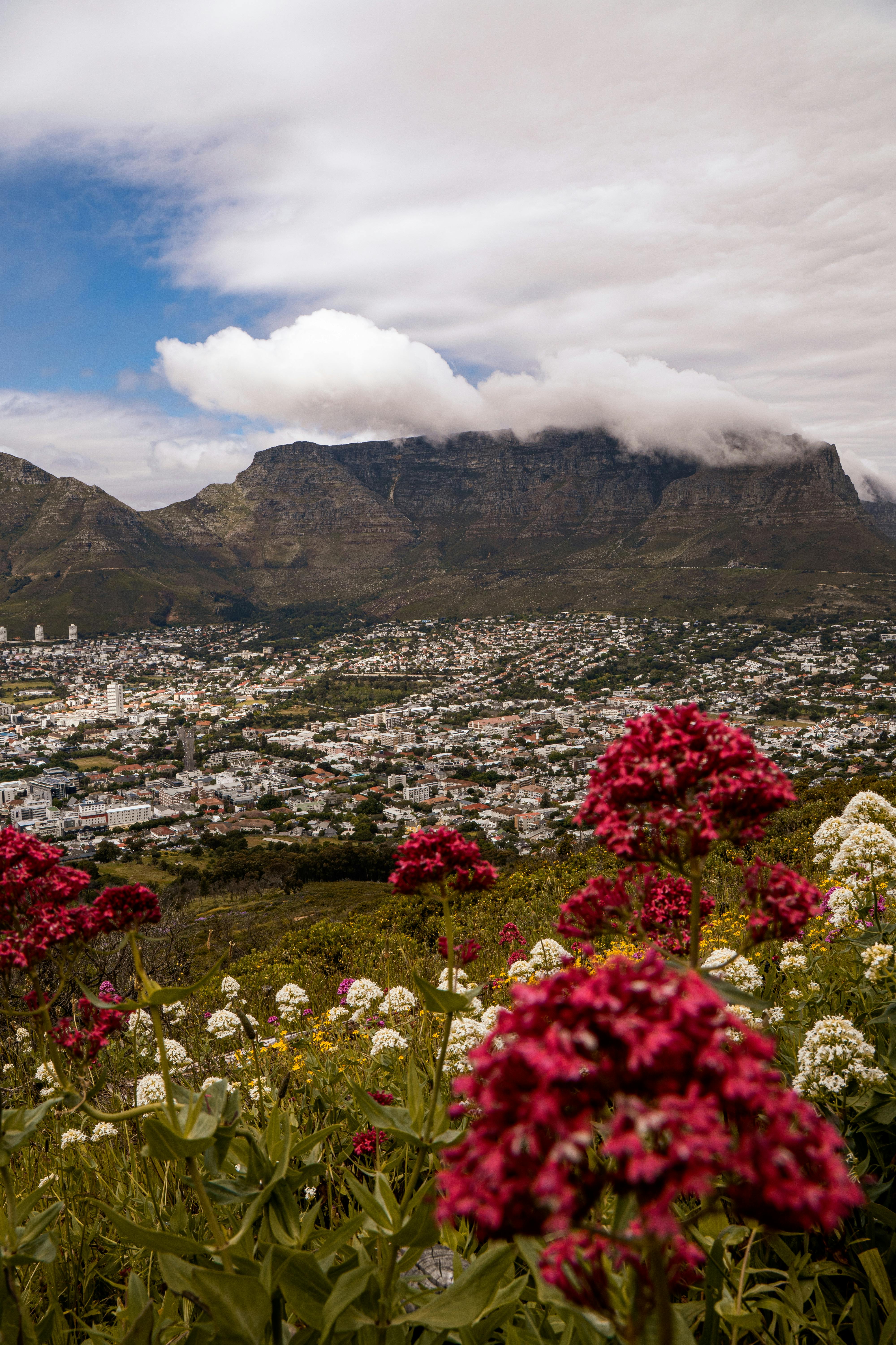 Cape Town Travel Guide Cape Town cityscape with Table Mountain